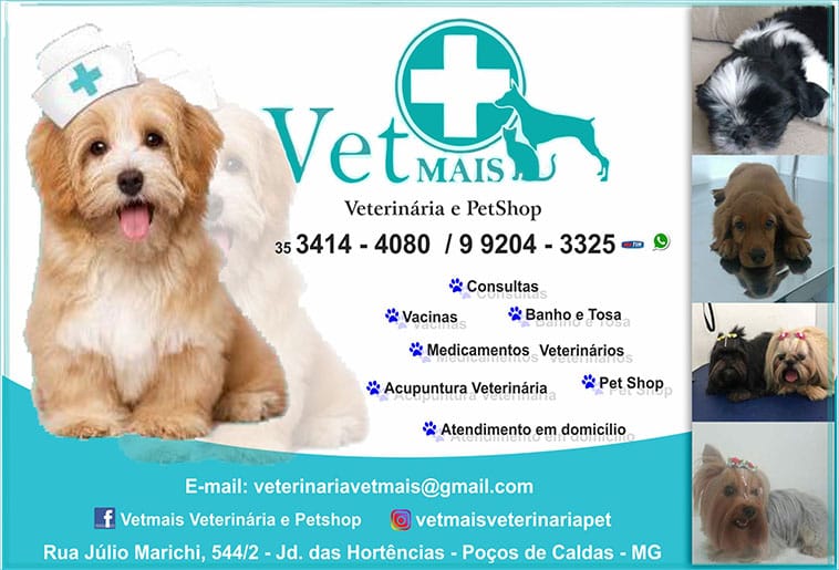 VET MAIS VETERINÁRIA E PET SHOP, 34144080 Click & Disk